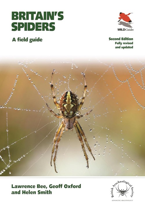 Cover of Britain’s Spiders by Lawrence Bee, Geoff Oxford & Helen Smith