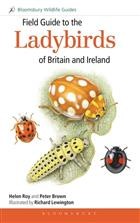Cover of Field Guide to the Ladybirds of Great Britain and Ireland by Helen Roy & Peter Brown · illustrated by Richard Lewington