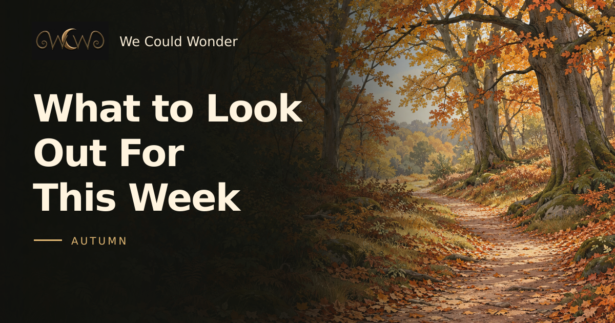 What to Look Out For This Week